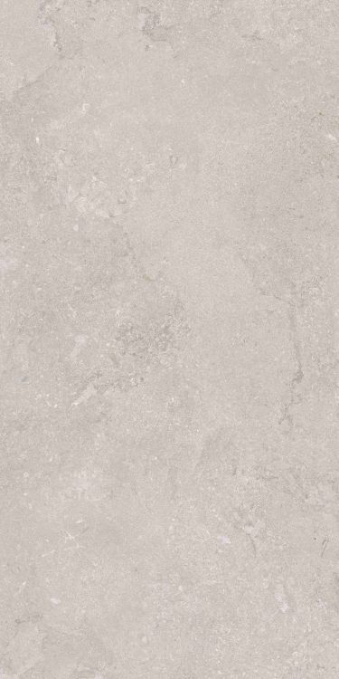 OL Port Land Stone Greige Matte 24 x 48